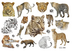 Dětské tetování Leopard, Tygr, Lev (1 ks)