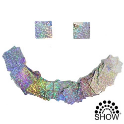 Silver Holographic Sequins 100 pcs for Sequin Panels (30cm*30cm)