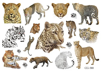 Dětské tetování Leopard, Tygr, Lev (1 ks)