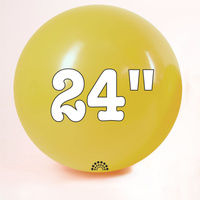 24 cali