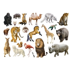 Animal World - Tattoos for Little Explorers (1 pc)