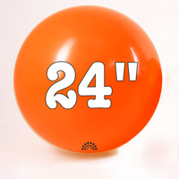 24 inch