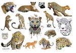 Dětské tetování Leopard, Tygr, Lev (1 ks)