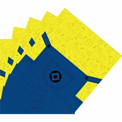 Happy Birthday Minions Paper Napkins 20 pcs.