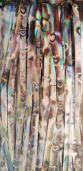 Dekorativní duhový stříbrný závěs 100x200cm